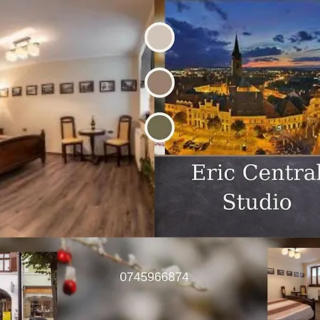 Eric Central Studio Sibiu Extérieur photo